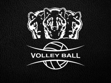 Timberwolf Volleyball