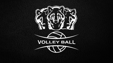 Timberwolf Volleyball